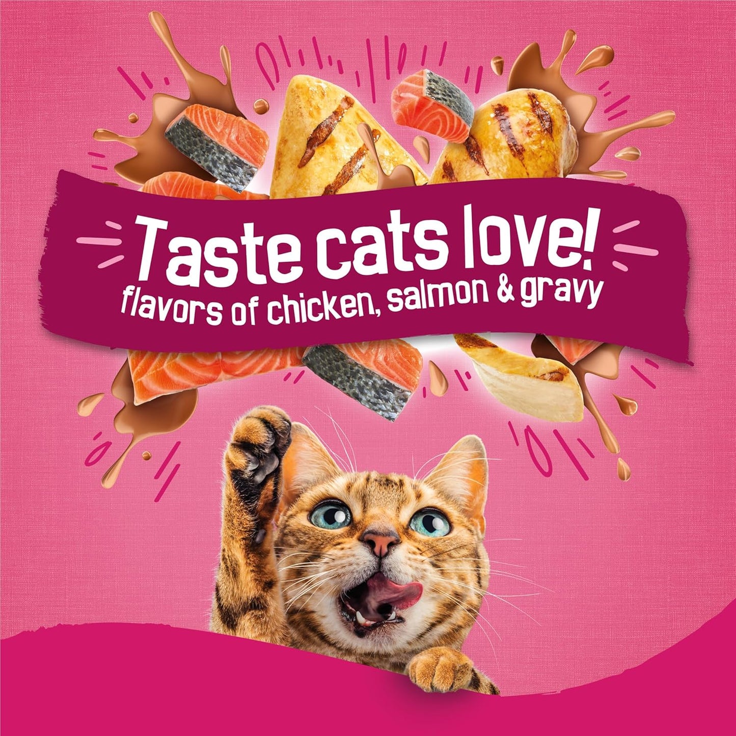 Purina Friskies Gravy Swirlers Dry Cat Food - Chicken & Salmon Flavor - 3.15 lb Bag