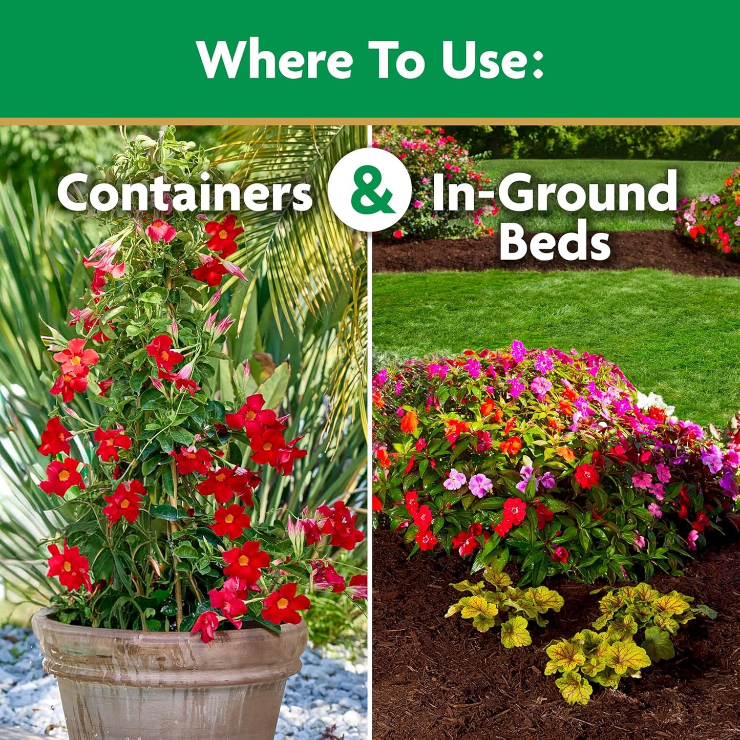 Miracle-Gro Bloom Booster Flower Food | Water Soluble Fertilizer for Vibrant Annuals & Perennials - 4 lbs.