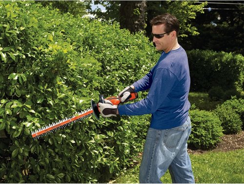 BLACK+DECKER 40V MAX* Cordless Hedge Trimmer - 24-Inch POWERDRIVE Tool Only (LHT2436B)