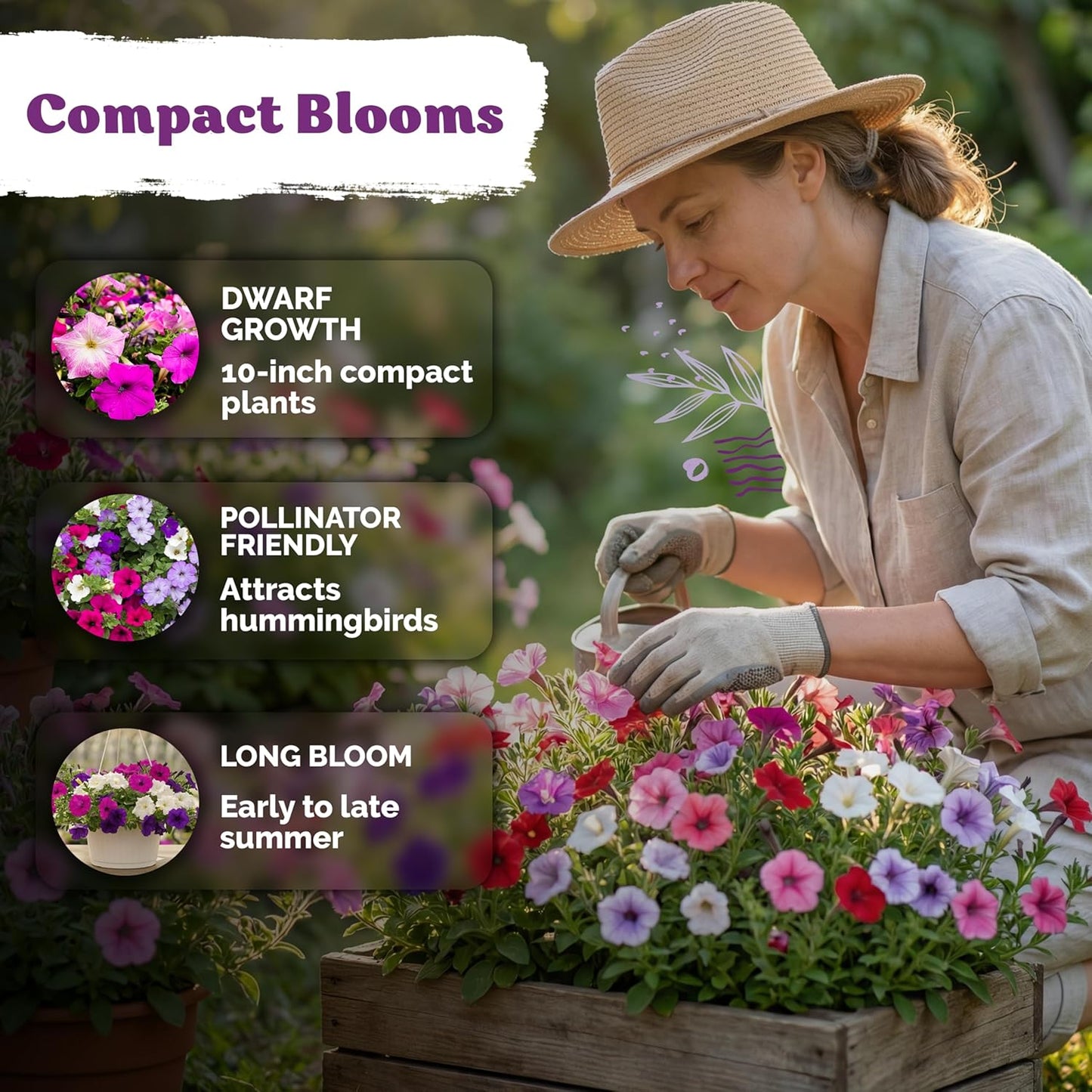 KVITER Dwarf Petunia Seeds - 2,000 Organic & Non-GMO Mini Flower Seeds for Indoor/Outdoor Gardens