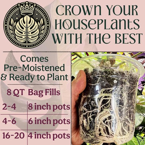 Craft Organic Potting Mix - Elite Houseplant Soil for Indoor Plants | Chunky, Well-Draining, 8QT