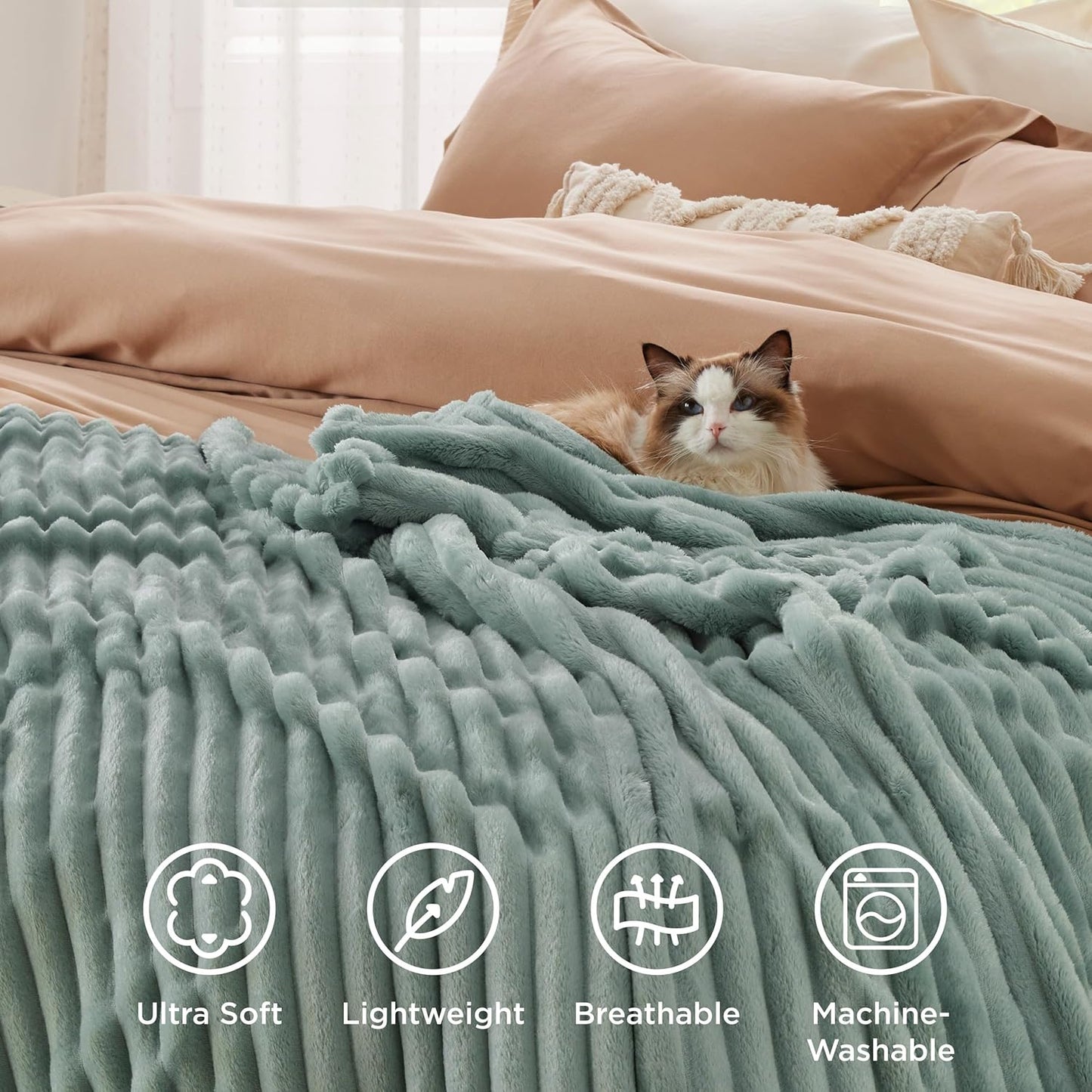 Bedsure GentleSoft Twin Blanket - Cozy Sage Green Fleece Throw for Women | 60x80 Inches