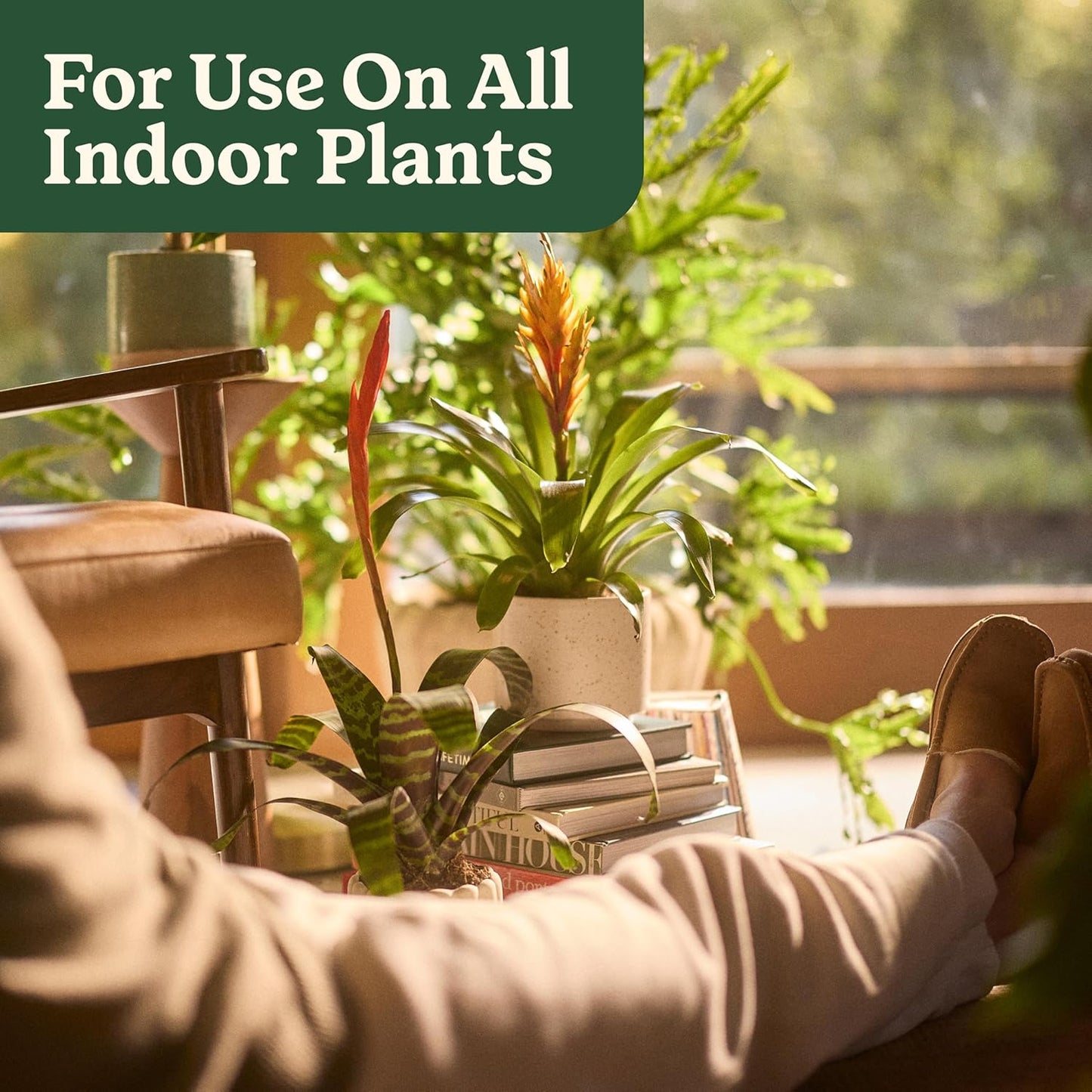 Miracle-Gro Organic Indoor Plant Food - Liquid Fertilizer for Houseplants & Herbs | 8 fl. oz. (2-Pack)