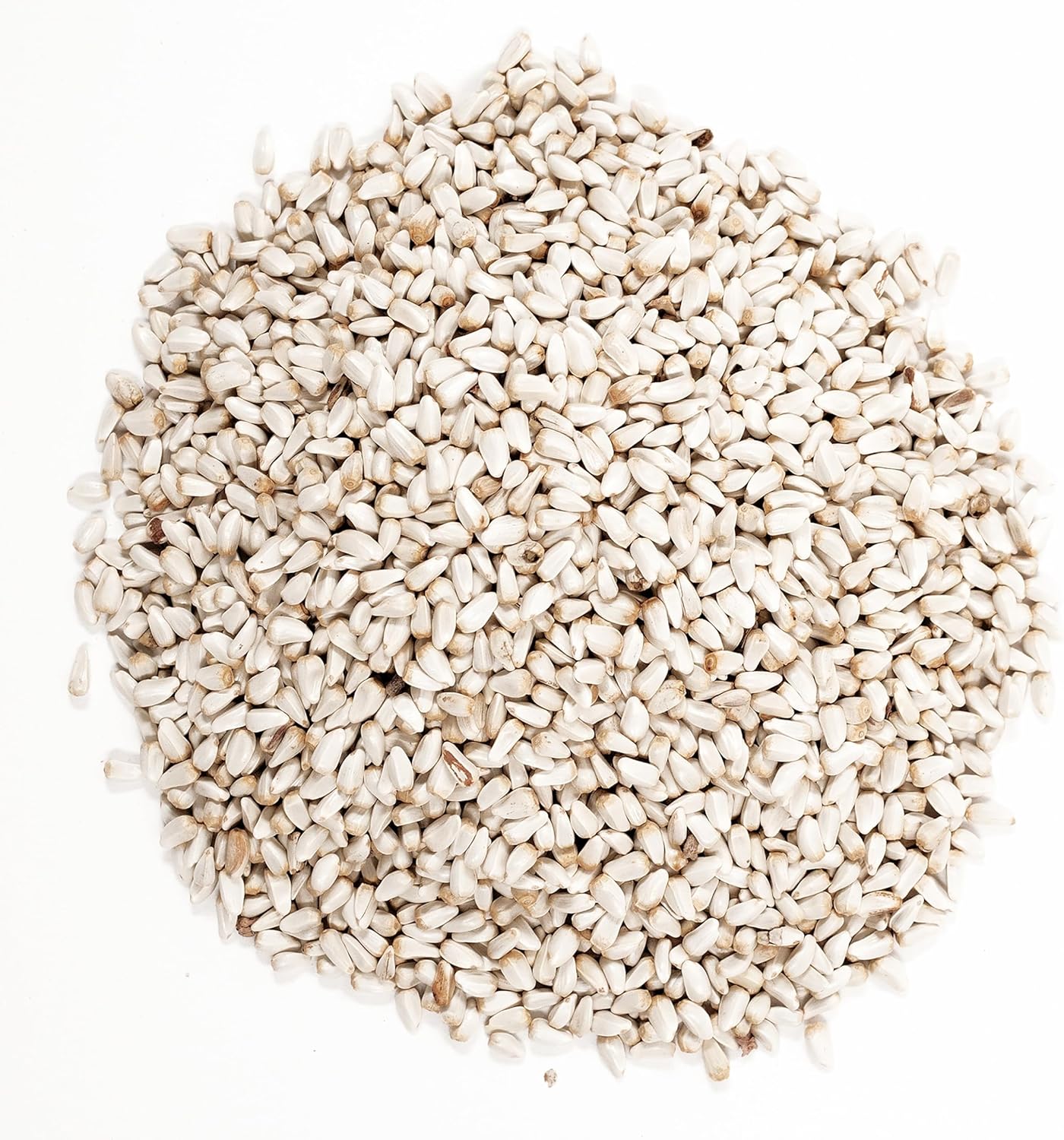 Wagner's Safflower Seed Wild Bird Food - Premium 5 Pound Bag for Attracting Birds