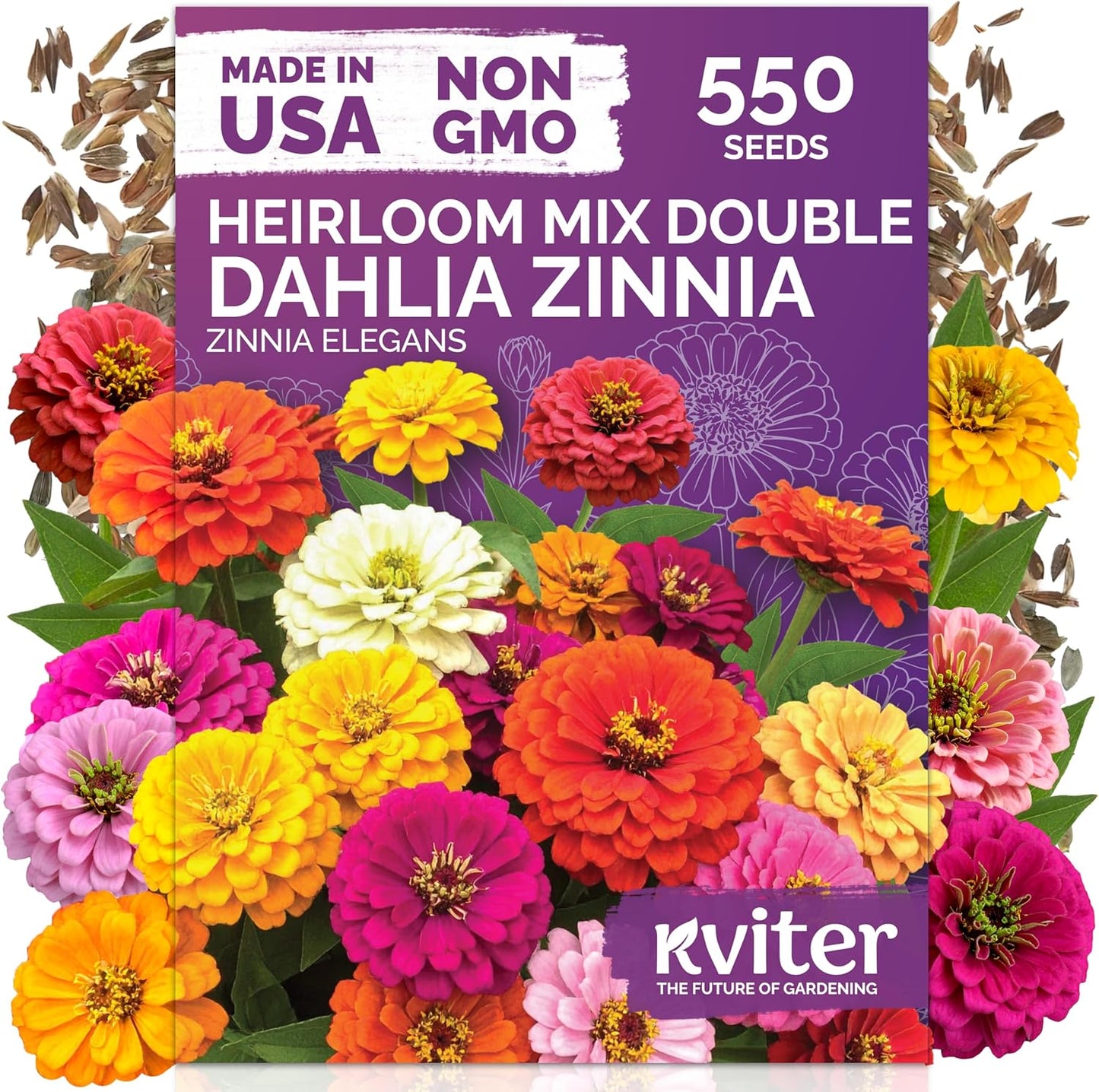KVITER 550 Dahlia Zinnia Seeds - Non-GMO Heirloom Double Blooms for Garden & Cut Flowers | 2026 Mix