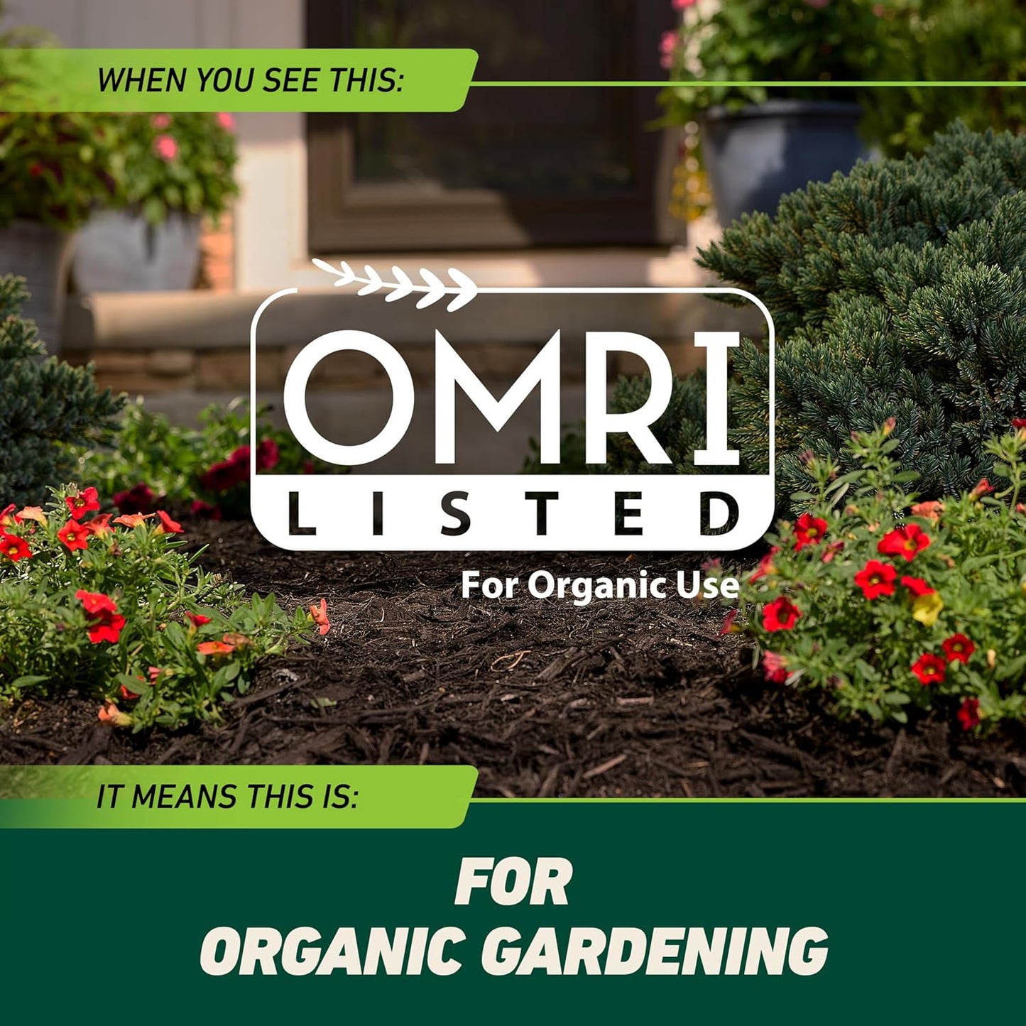 Ortho GroundClear Weed & Grass Killer - Kills Dandelions, Crabgrass & More | Ready-to-Use, 1 Gallon