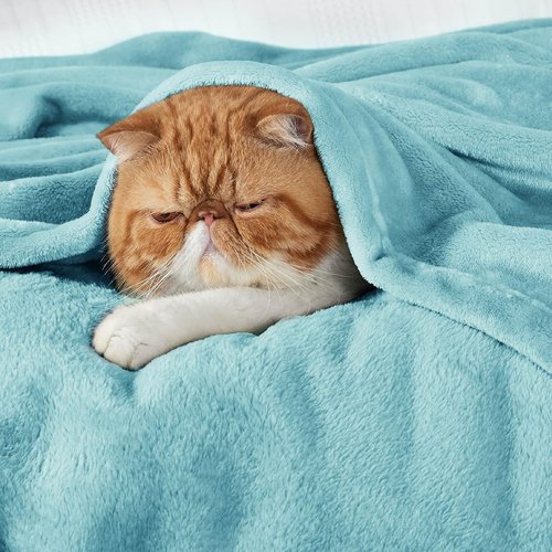 Bedsure GentleSoft Fleece Throw Blanket - Lightweight Plush Cozy River Blue Blanket, 50x70 Inches