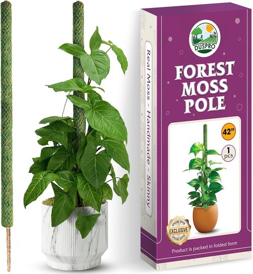 DUSPRO 42” Moss Pole - Natural Climbing Support for Monstera & Indoor Plants | Real Moss Stake
