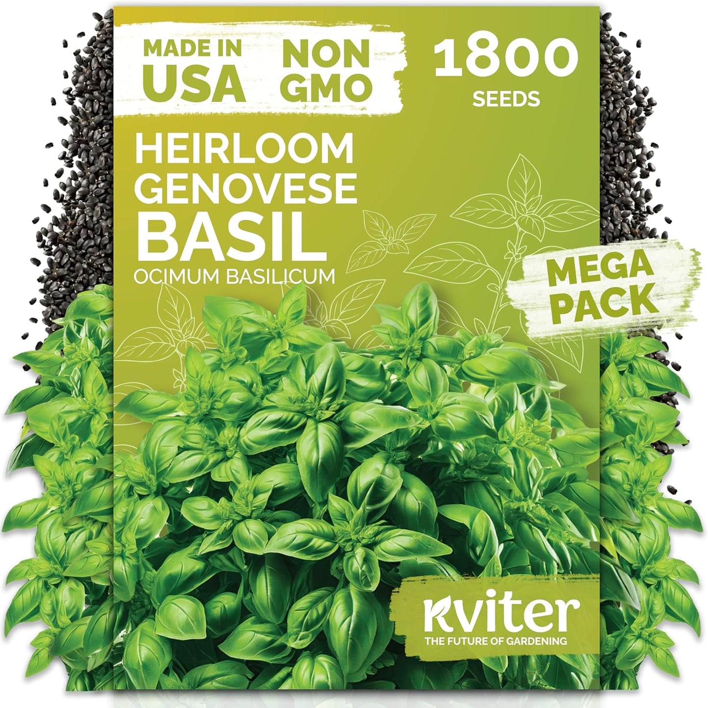 KVITER Genovese Basil Seeds - Classic Italian Herb for Kitchen Gardens | Non-GMO & Heirloom, Indoor/Outdoor