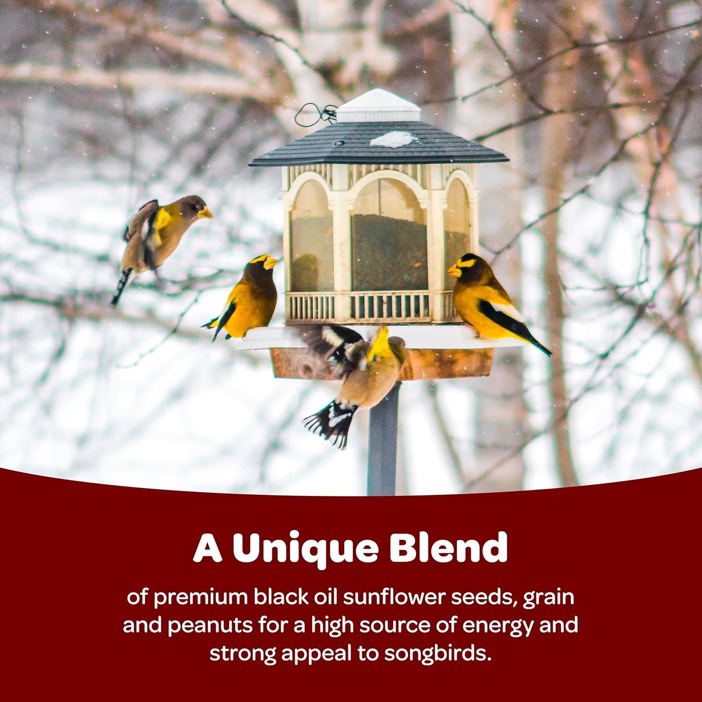 Kaytee Songbird Wild Bird Seed - Premium Blend for Grosbeaks, Cardinals & More | 7 Pounds