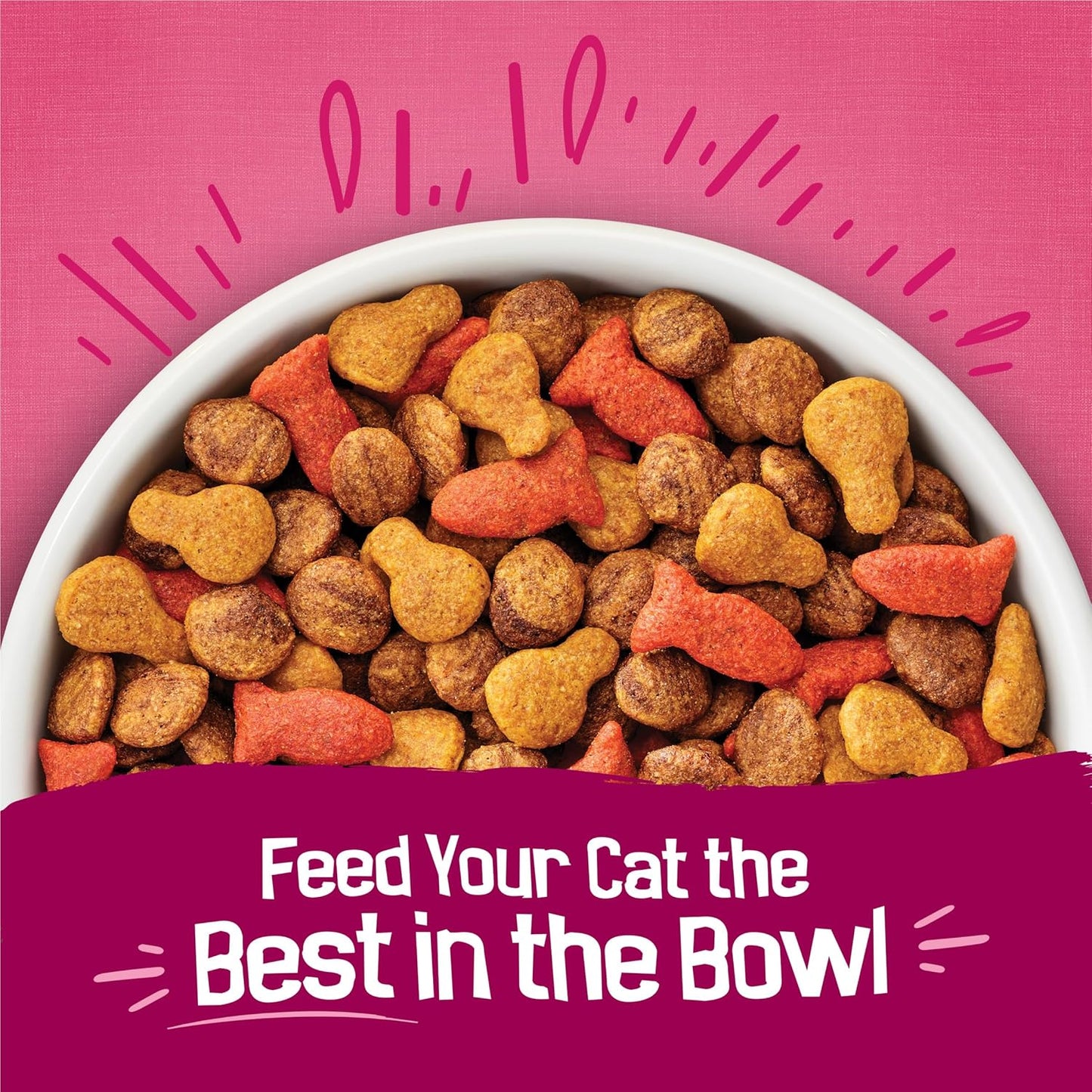 Purina Friskies Gravy Swirlers Dry Cat Food - Chicken & Salmon Flavor - 3.15 lb Bag