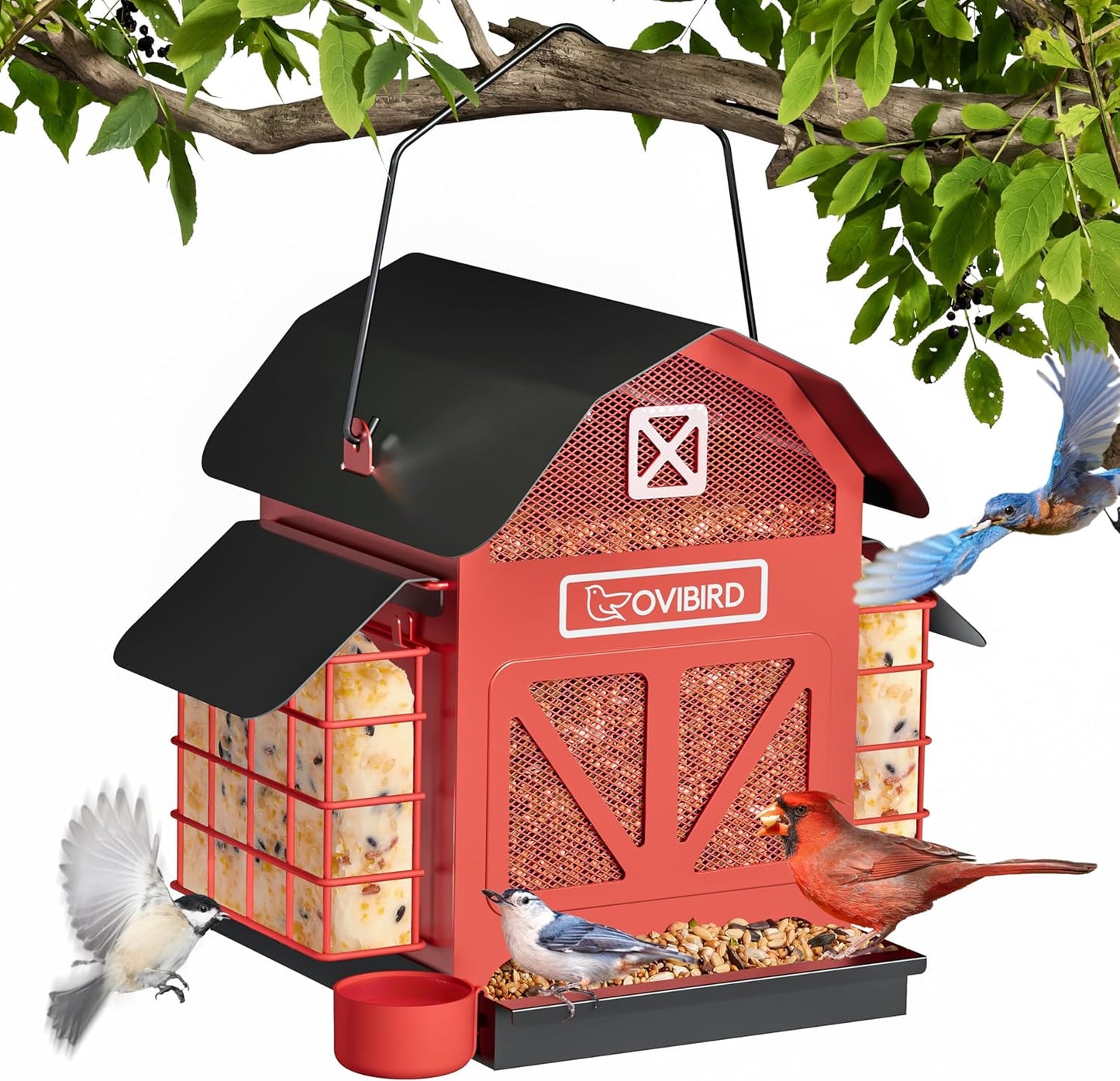 Red Barn Metal Bird Feeder - Large 5LBS Outdoor Hanging Feeder with 2 Suet Cages | Weather Resistant for Bird Watching