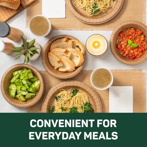 Dixie EcoSmart 100% Recycled Fiber Paper Plates - Large 10-Inch, 144 Count for All Meals
