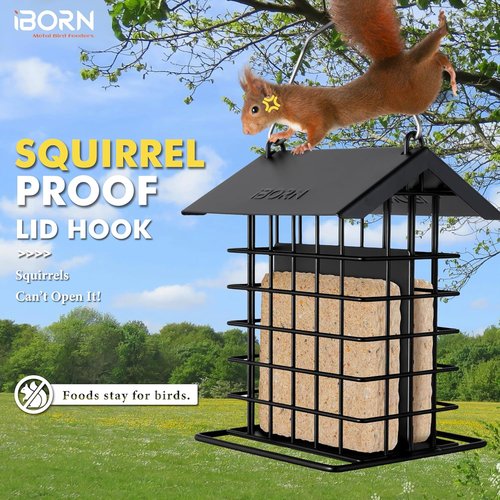 iBorn Suet Feeder - Squirrel-Proof Hanging Bird Feeder with Weatherproof Metal Roof | Black, 1 Pack