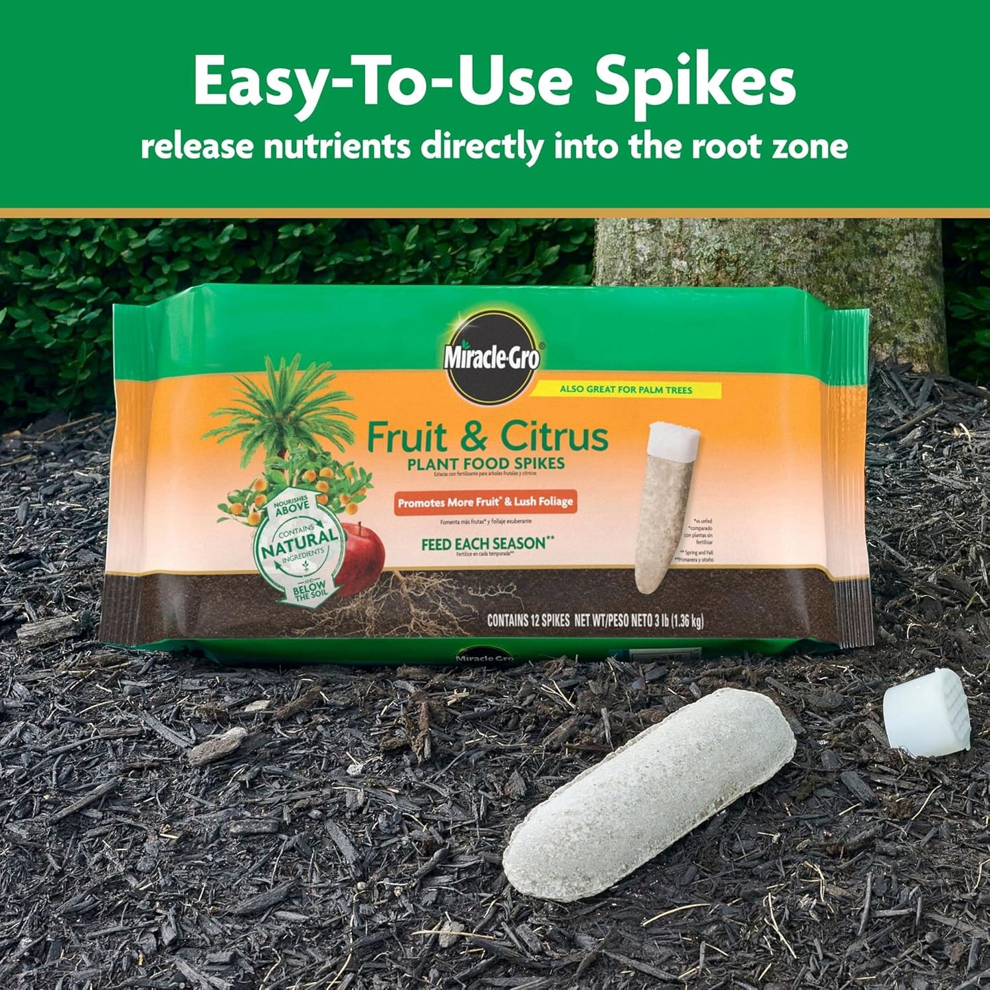 Miracle-Gro Fruit & Citrus Plant Food Spikes - Easy-To-Use Fertilizer for Healthy Trees | 12 Spikes, 3 lb.