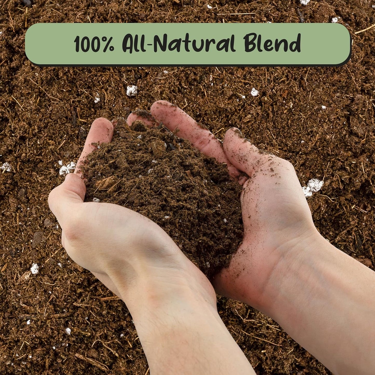 Sunrise Monstera Potting Soil Mix - Custom Blend for Growing & Repotting | 12 Quarts
