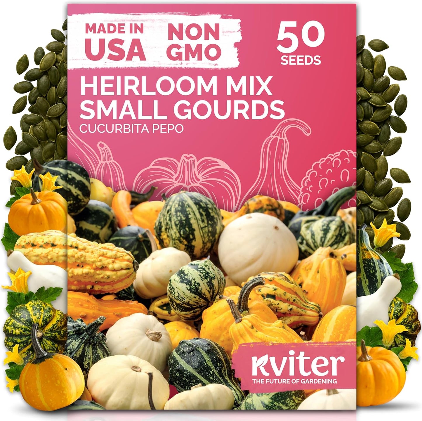 KVITER 50 Small Gourd Seeds Mix - Non-GMO & Organic Decorative Gourds for Fall Decor | Heirloom Seeds