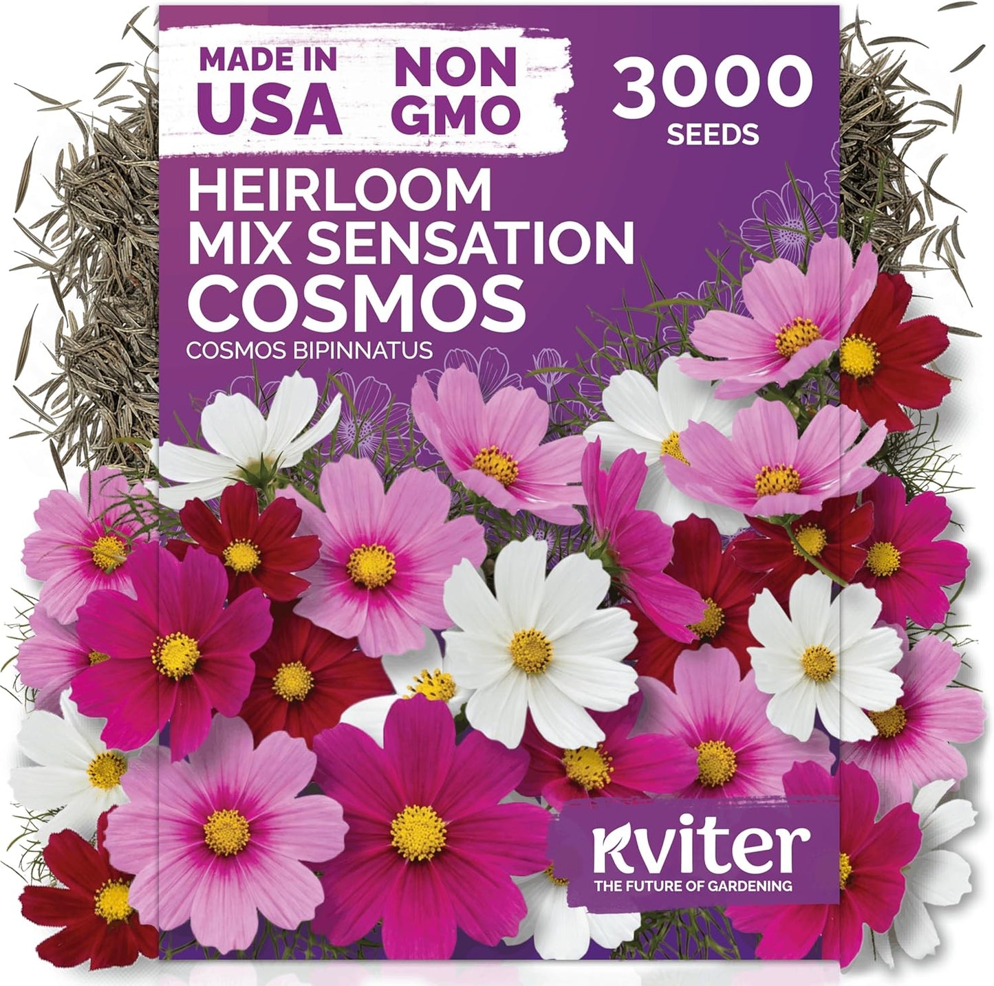 KVITER 3000 Cosmos Seeds - Tall Mix of Non-GMO Annual Flowers for Outdoor Gardens | Butterfly Favorite