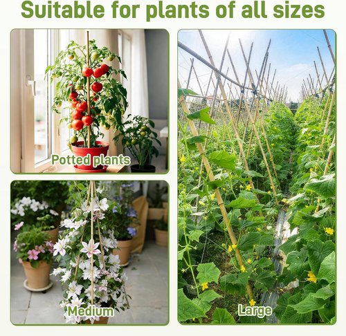 Bamboo Garden Stakes by [Brand Name] - 50 Pcs Natural 16-Inch Plant Support Poles for Indoor/Outdoor Use