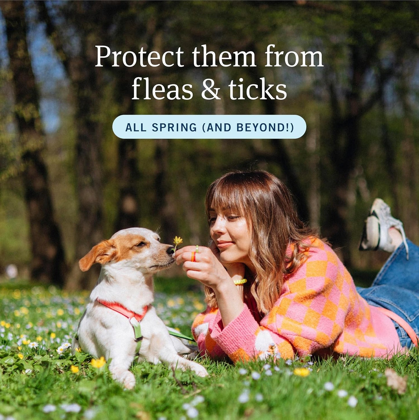 PetArmor Plus Flea and Tick Prevention - Fast-Acting Waterproof Treatment for Small Dogs (5-22 lbs)
