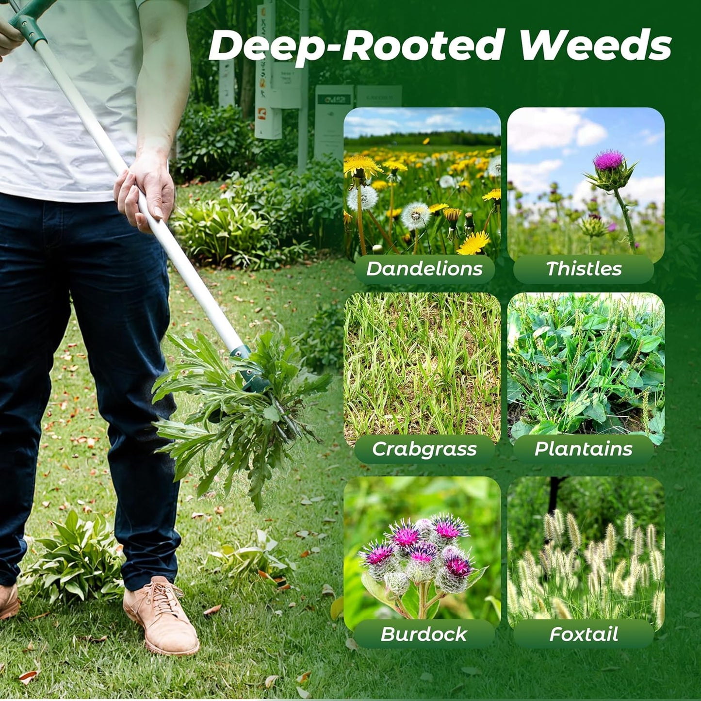 Walensee Stand Up Weeder - Long Handle Weed Puller with 3 Claws for Easy Dandelion Removal | 1 Pack