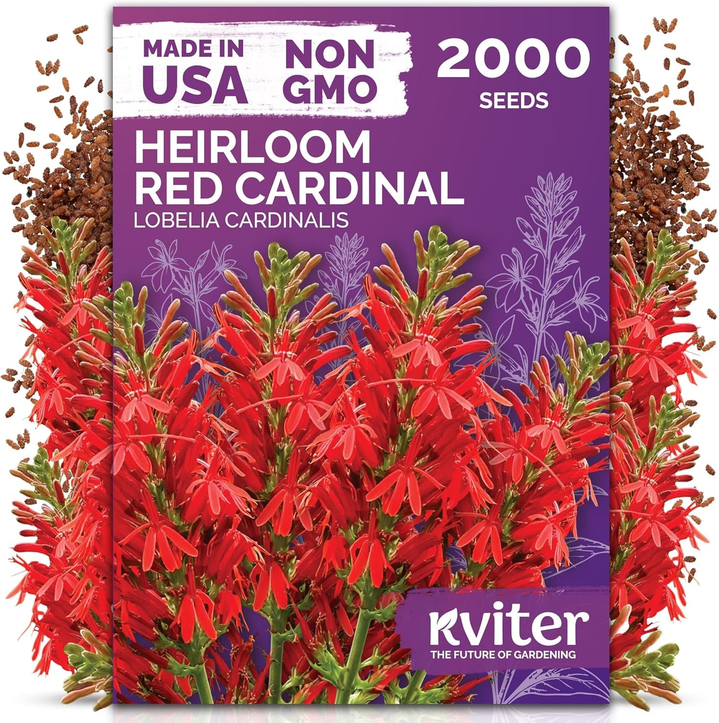 KVITER 2000 Red Cardinal Flower Seeds - Lobelia Cardinalis for Vibrant Outdoor Gardens | Perennial Seed Packets