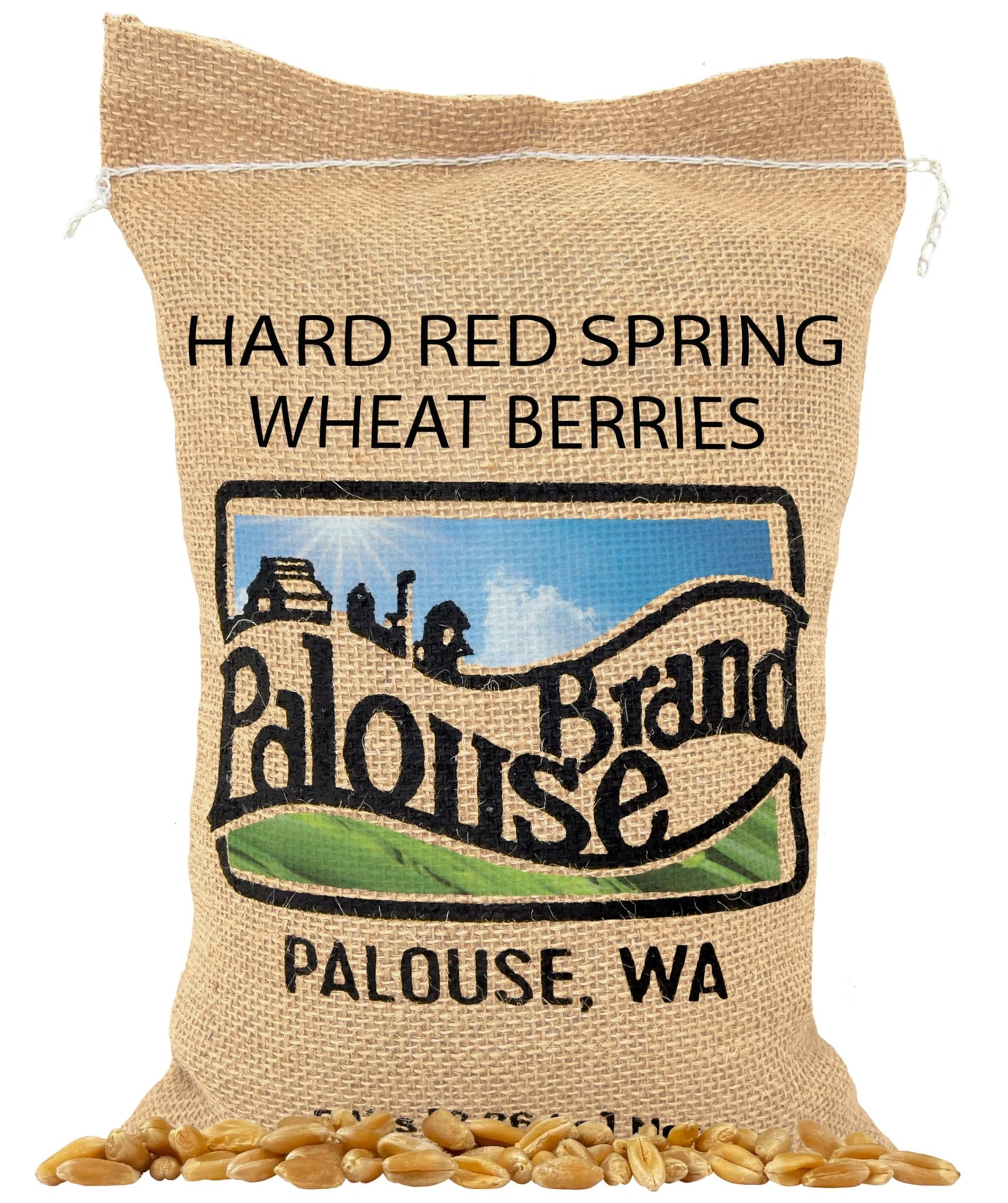 Palouse Brand Certified Glyphosate Residue Free Hard Red Spring Wheat Berries | 5 LBS | 100% Non-Irradiated | Certified Kosher Parve | USA Grown | Non-GMO Project Verified