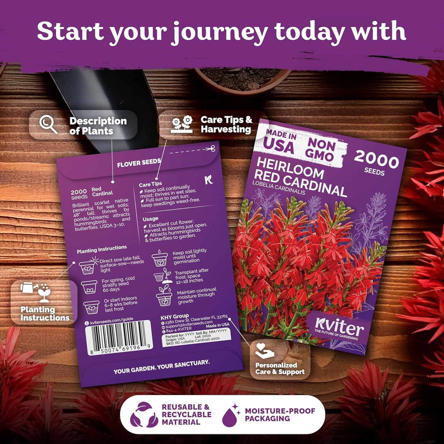 KVITER 2000 Red Cardinal Flower Seeds - Lobelia Cardinalis for Vibrant Outdoor Gardens | Perennial Seed Packets