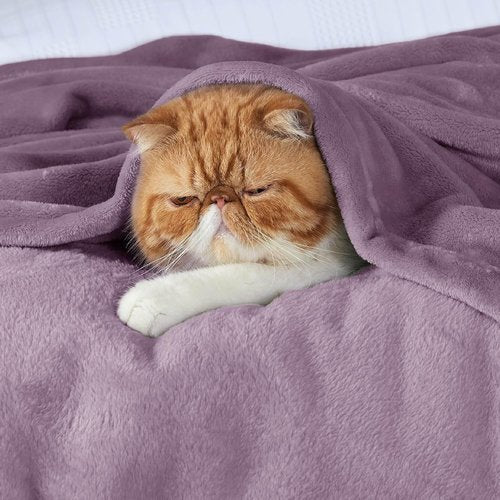 Bedsure GentleSoft Fleece Blanket - Queen Size Fog Purple | Soft, Lightweight, Plush Microfiber, 90x90 Inches