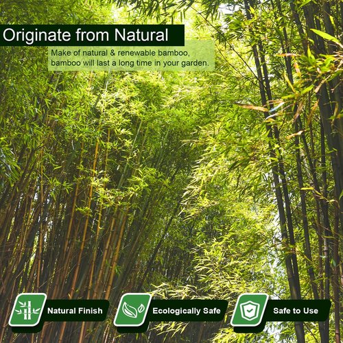 Jollybower 20 Pcs 6FT Heavy-Duty Bamboo Plant Stakes - Natural Support for Tomatoes, Beans & Flowers