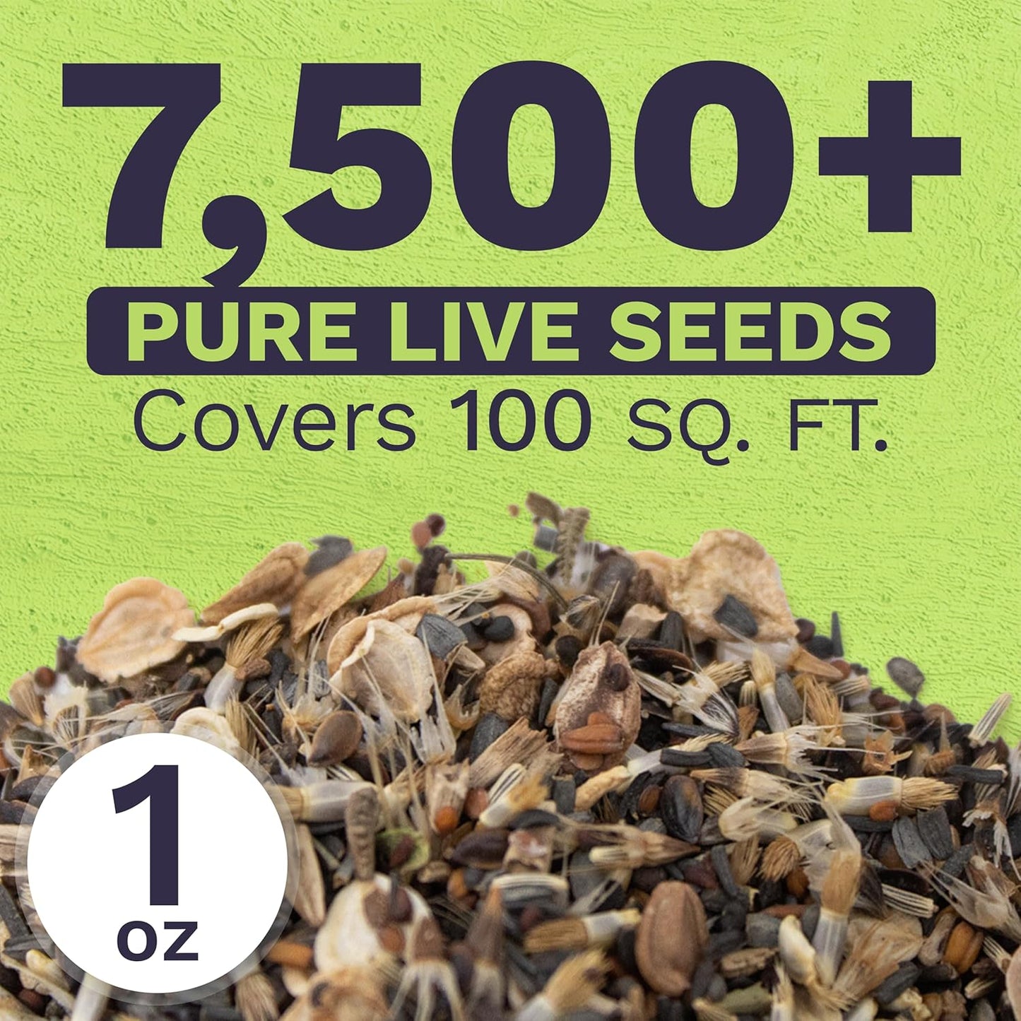 Wildflower Seed Mix by Drought Tolerant - Extra Large Packet with 7,500 Non-GMO Seeds - 21 Dryland Species