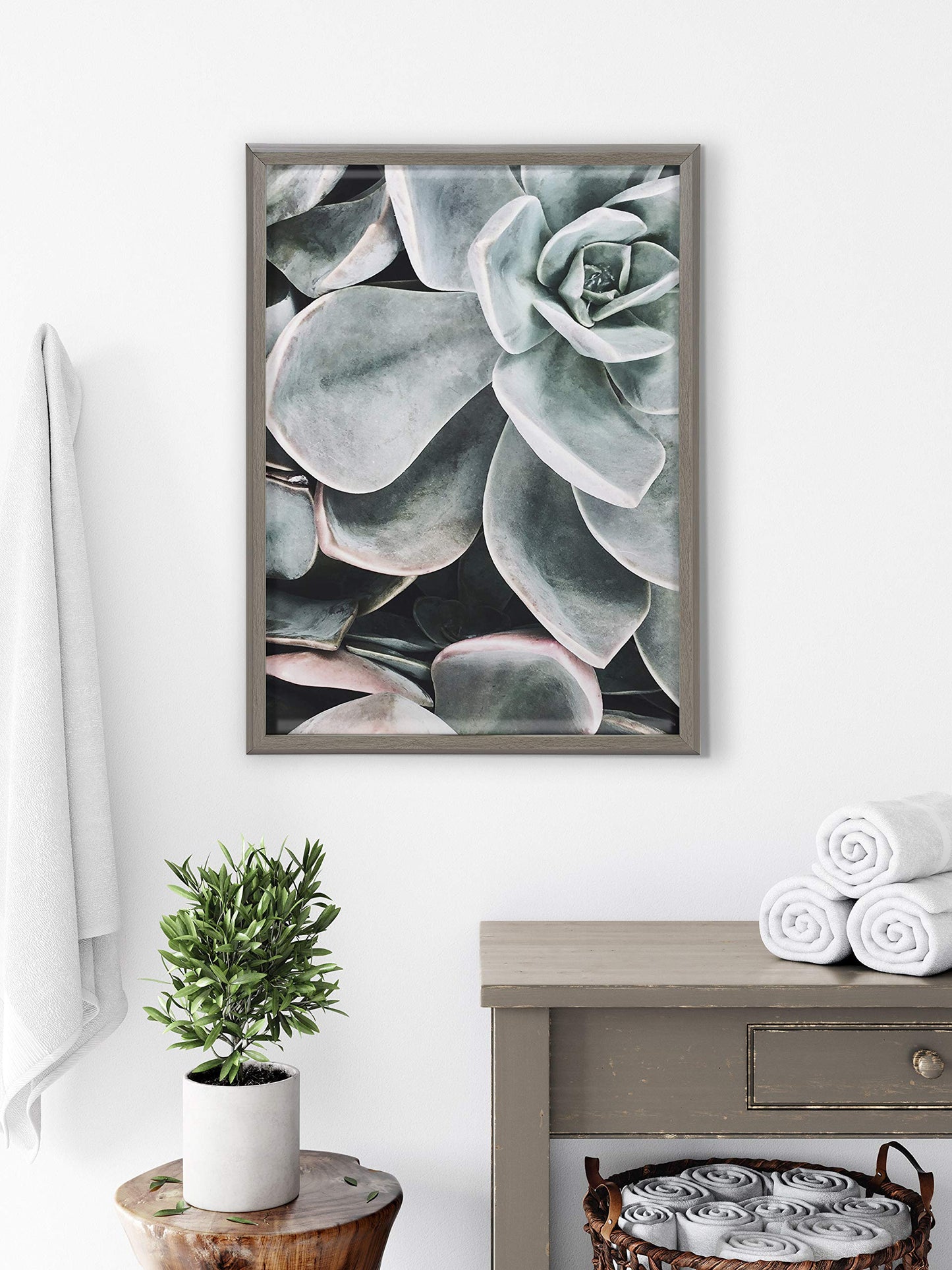 Kate and Laurel Blake Botanical Succulent Plants 2 Framed Printed Glass Wall Art by The Creative Bunch Studio, 18x24 Gray, Succulent Art for Wall