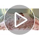Pink Bow Twin Comforter Set with Sheets - Girl Bedroom Bedding 5 Pieces