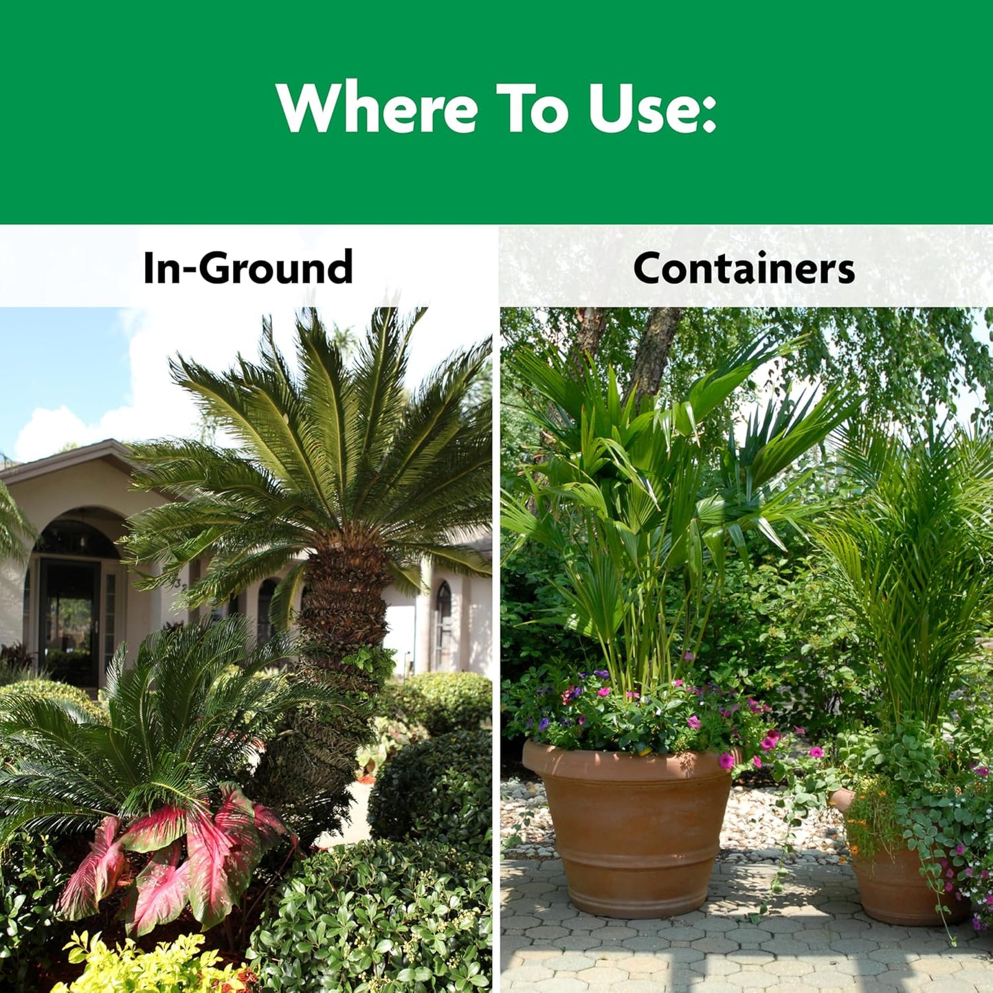 Miracle-Gro Palm Plant Food - Shake 'N Feed Formula for Thriving Plants | 8 lb. Bag Feeds Up to 3 Months