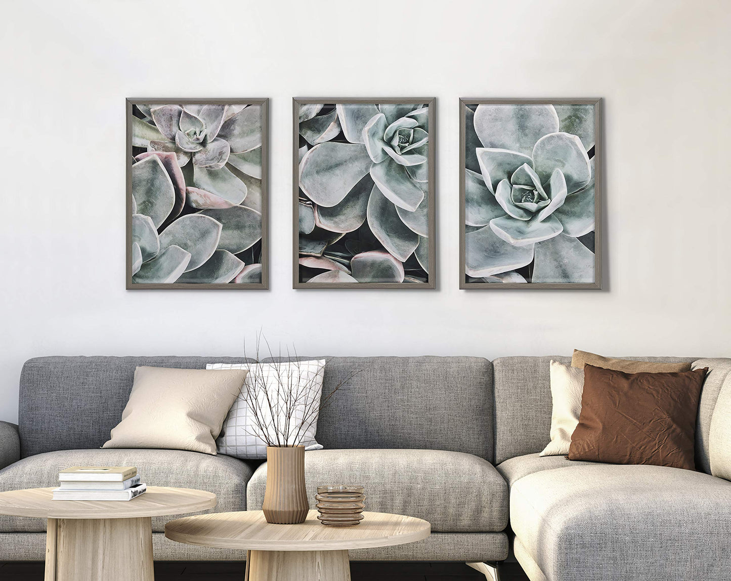 Kate and Laurel Blake Botanical Succulent Plants 2 Framed Printed Glass Wall Art by The Creative Bunch Studio, 18x24 Gray, Succulent Art for Wall