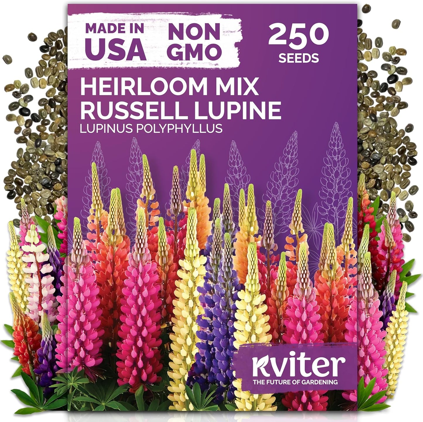 KVITER 250 Mix Russell Lupine Seeds - Heirloom Non-GMO Perennial Wildflower Seed Packets for Gardens & Meadows