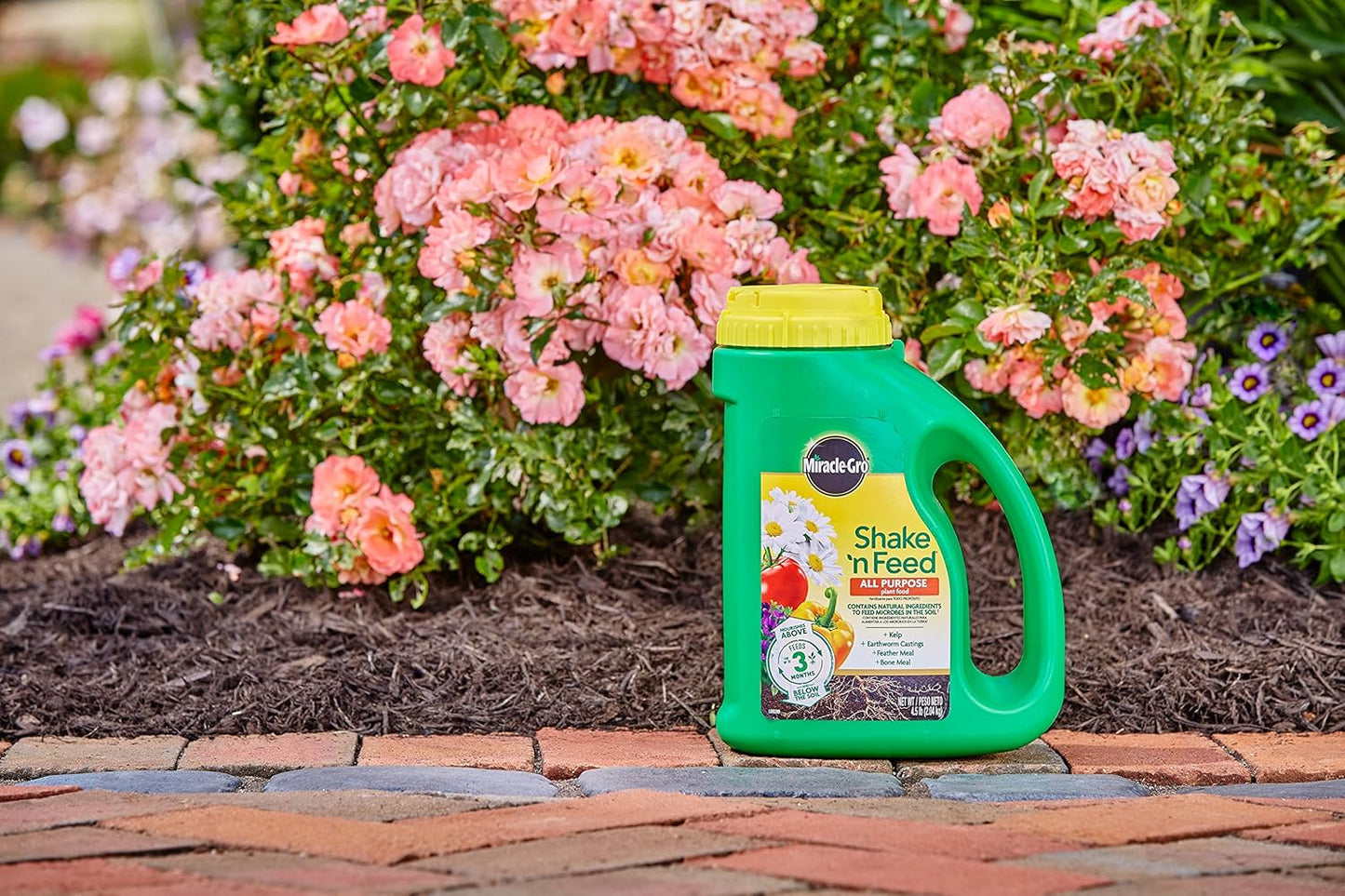 Miracle-Gro Shake 'N Feed All Purpose Plant Food - 4.5 lbs for Indoor & Outdoor Plants | Feeds for 3 Months (6-Pack)