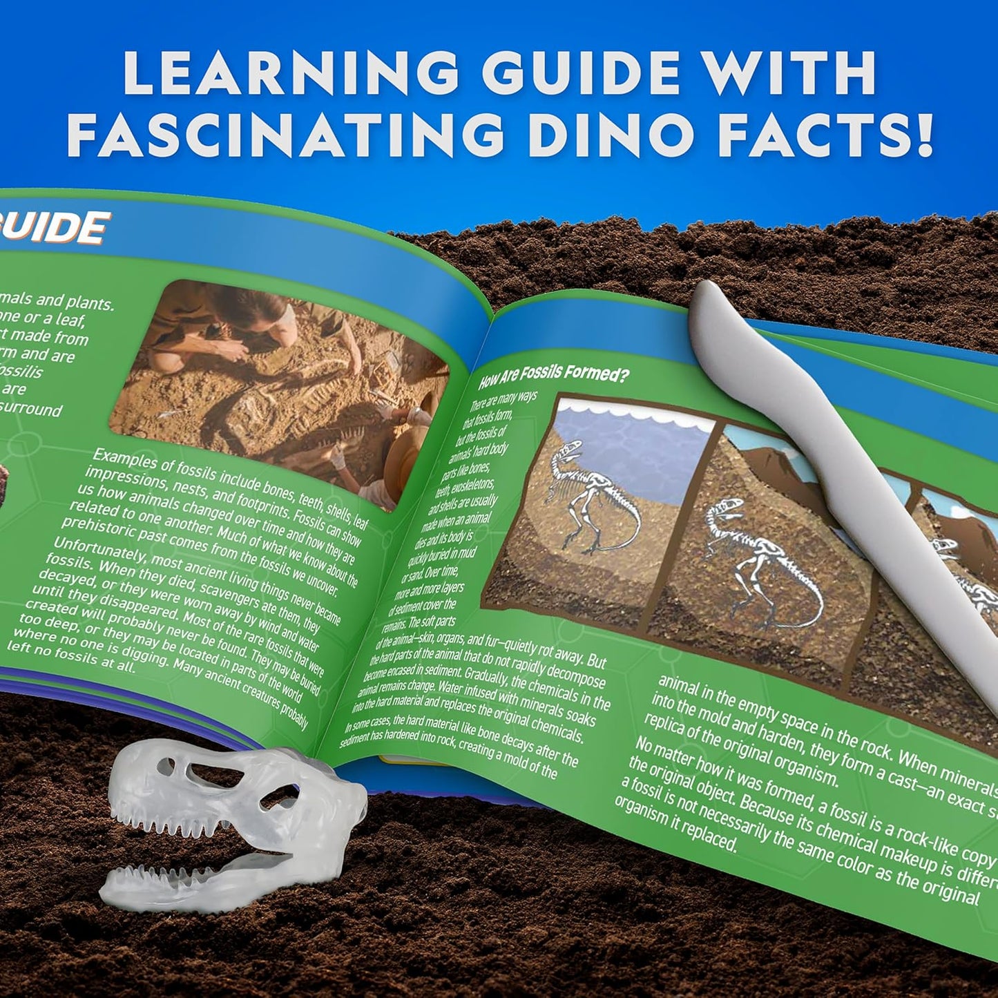 National Geographic Glow-in-The-Dark T. Rex Dissection Lab - Build a 9.5” Glowing Dinosaur Skeleton Model | Includes Refill Pack & Learning Guide