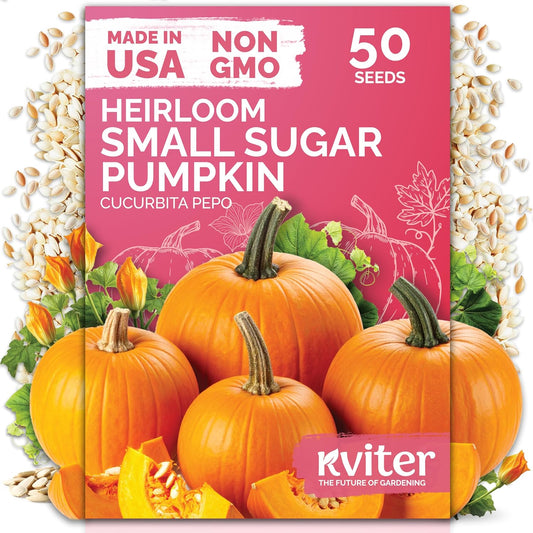 KVITER Organic Sugar Pumpkin Seeds - Heirloom Cucurbita Pepo for Sweet Pies & Canning | Perfect for Outdoor Gardens