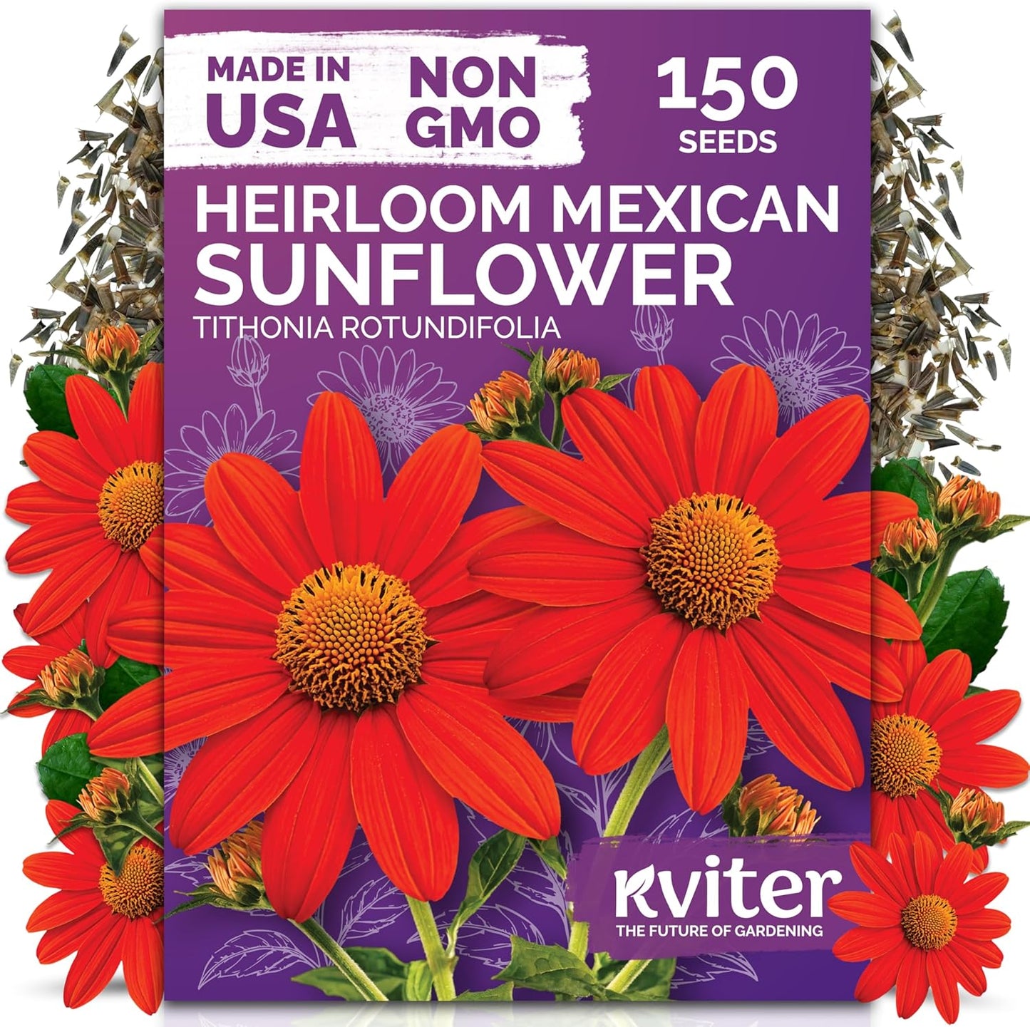 KVITER 150 Mexican Sunflower Seeds - Heirloom Tithonia Rotundifolia for Vibrant Outdoor Gardens | Bulk Seed Packets