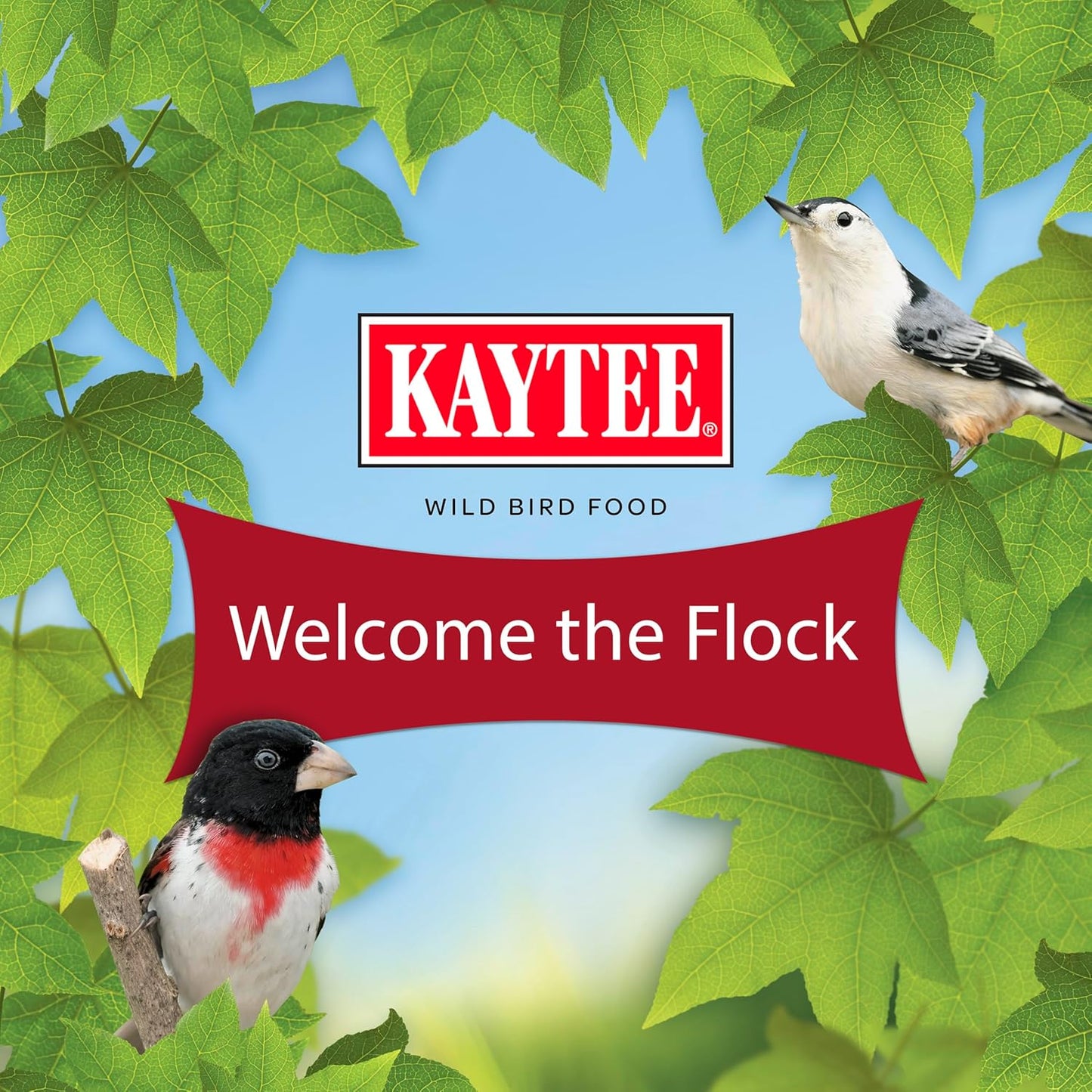Kaytee Wild Bird Seed - Nutritious Mealworm Seed Cake for Bluebirds & Chickadees | 1.4 Pound