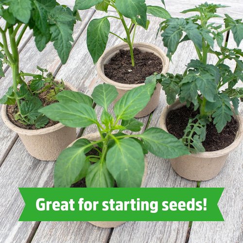 Back to The Roots Organic Coir - 51 Quart Expanding Soil for Seeds & Potting Success
