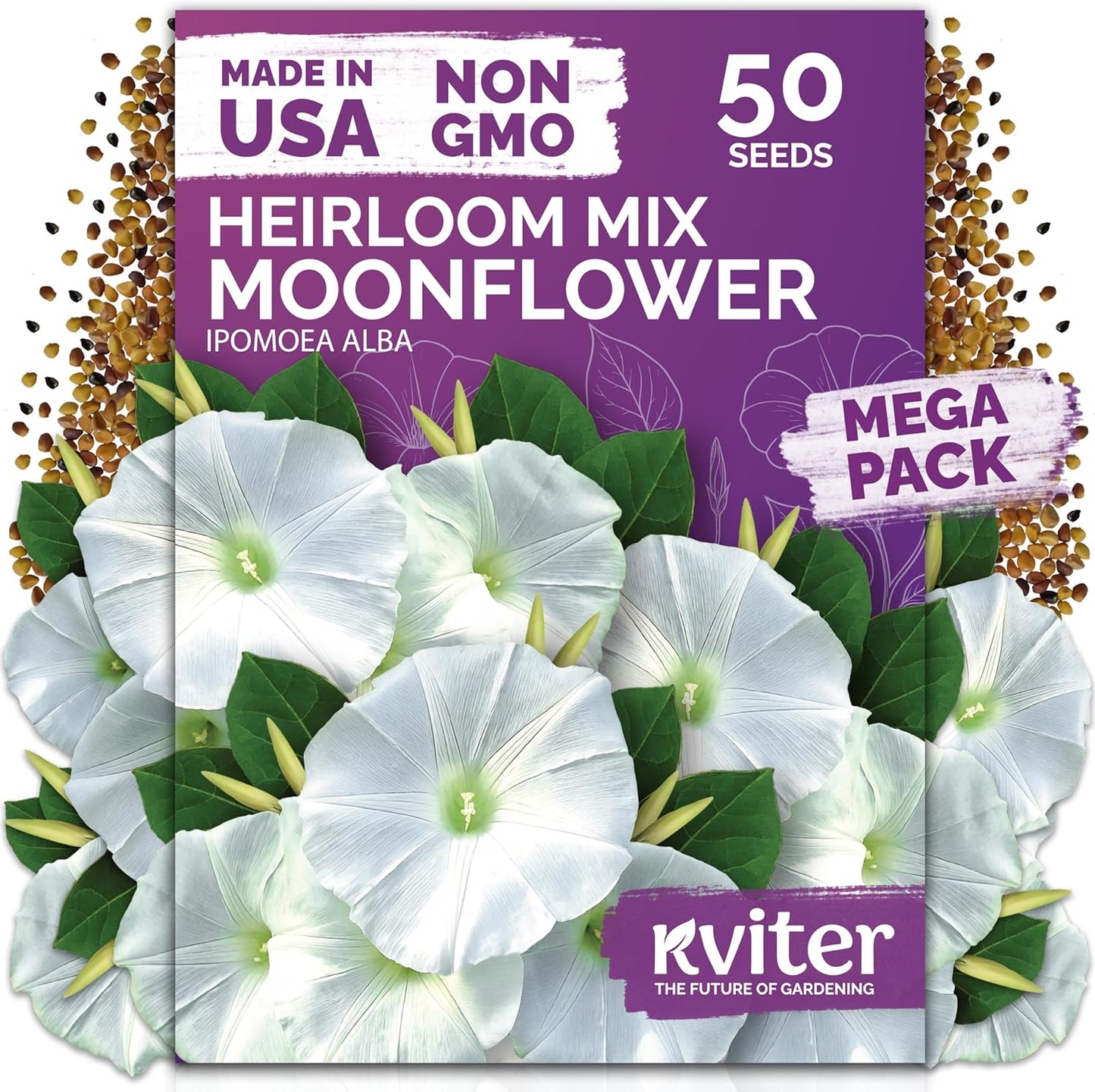 KVITER Moonflower Seeds - 50 Heirloom Ipomoea Alba Seeds for Indoor & Outdoor Gardens