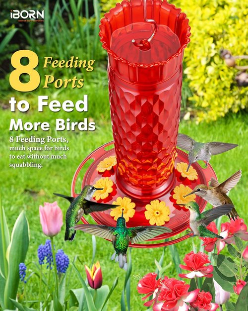 iBorn Hummingbird Feeders - 16oz Outdoor Hanging Feeder with 8 Bee Guards & Ant Moat | Red Honeycomb Design