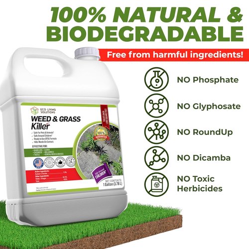 ECO Garden PRO - Organic Vinegar Weed Killer | Safe for Kids & Pets | Effective Against Clover, Moss & Poison Ivy (1 Gallon)