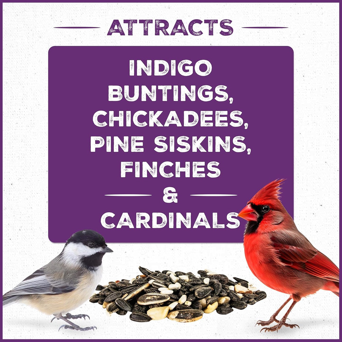 Pennington Pride Songbird Nut & Fruit Blend - Advanced Nutrition Wild Bird Seed, 10 lb Bag