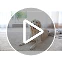 Enjoy Holiday 1981 8x10 ft Grey Non-Slip Rug Pad with Double Felt & Rubber Layer