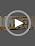 4-Light Bathroom Vanity Light Fixture - Brushed Gold with Tulip Clear Glass Shade, Over Mirror for Bathroom, Bedroom, Hallway - Variation: Brushed Gold - Tulip Clear