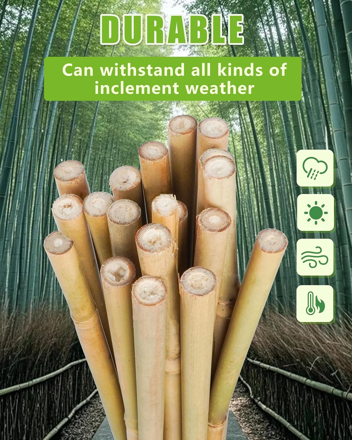 Natural Bamboo Plant Stakes by [Brand Name] - 3ft for Tomatoes, Beans & Climbing Plants | 30pcs