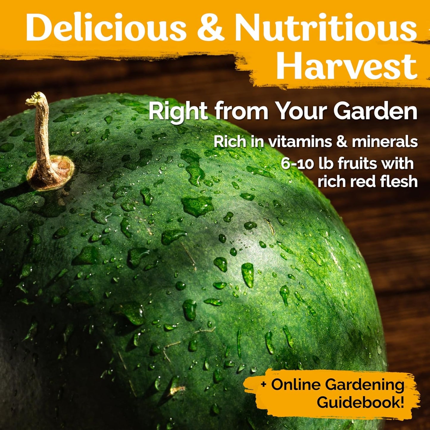 KVITER 50 Watermelon Seeds - Heirloom Organic Mini Melon Seeds for Sweet Outdoor Gardening